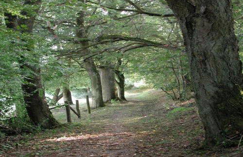 Apartment in Gransdorf With Scenic Views - Foto 51