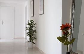 M I S T E R B A L E S Ferienwohnung Zittau Bahnhofsnähe - Foto 9