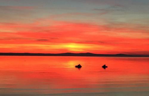 Vila Zatona Sunset with heated swimming pool - Photo 44