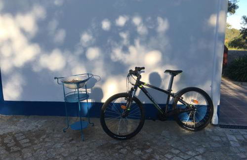 Almojanda 3 olive tree - Foto 61