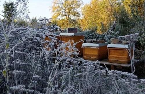 Holiday home in Süttorf with swimming pool - Foto 24