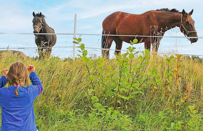 7 Person Holiday Home in Algaras-by Traum - Foto 10