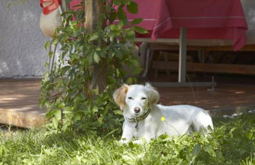 Haus Deidl - Foto 17