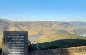 Andar Moradia T4 na Casa do Olival - Foto 37