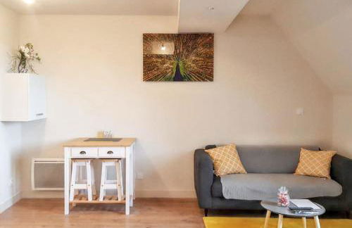 Charmant studio à Abondant avec terrasse ensoleillée - 30 m² - Foto 4