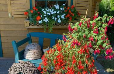 Ferienwohnung Schultze - Foto 18