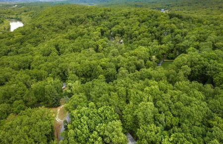 Harpers Ferry Cottage Hot Tub, WiFi, Dog-Friendly - Foto 18