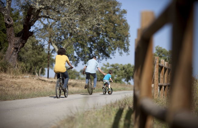Monte do Giestal - Casas de Campo and Spa - Photo 27