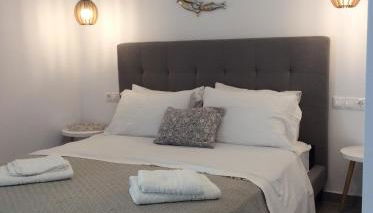 studios FLORA in naoussa paros - Photo 3