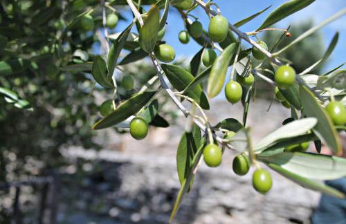 APPARTAMENTO ELENA - Foto 30