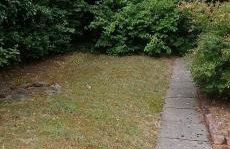 Sparkling Space - Twin or King Beds - Photo 68