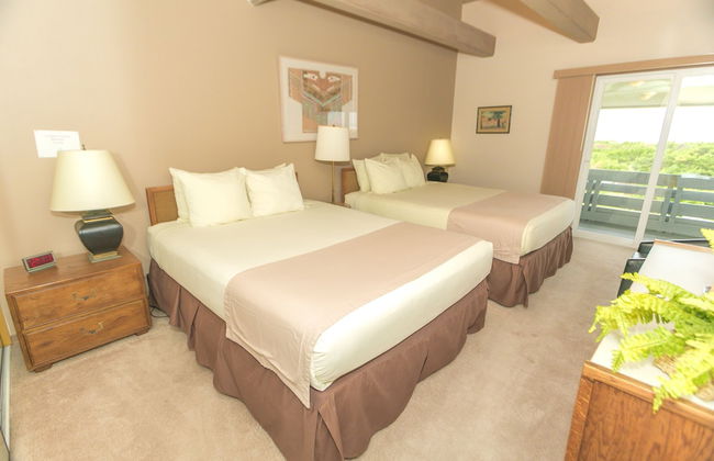 The Grey Gull - Foto 17