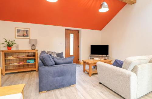 Pipistrelle - Foto 3