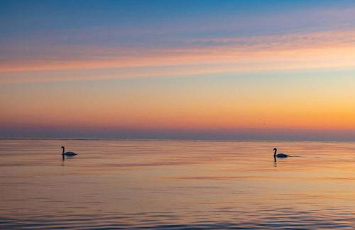 Holiday Home Among Apple Trees Near The Baltic Sea - Foto 33