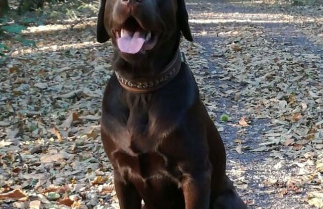 Holiday Apartment Kerstin - Foto 15