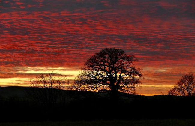 Unique Quirky Studio in Spreyton - Foto 16