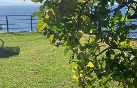 Il Nido Residence - Photo 23