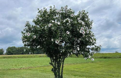 Private Luxury Log Cabin in the Endless Mountains, Firepit, Farm Charm - Foto 25