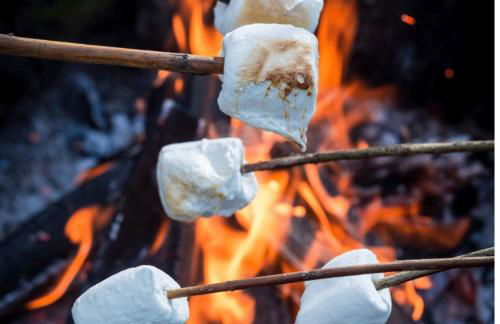 Majestic Lake Front Chalet - Foto 56