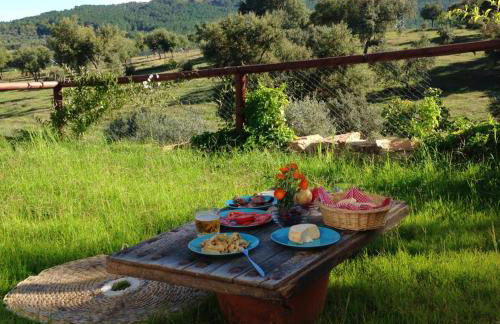 Peaceful villa in Monesterio with private pool - Foto 28