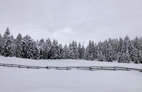 Anger living - Photo 67