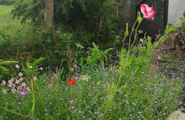 Riverside Cottage at Logwood Mill - Foto 78