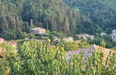 Forrest Guesthouse - Photo 33