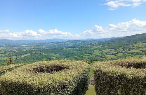 L'angolo delle More - Foto 29