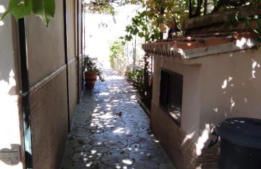 LOS ABUELOS - Foto 40