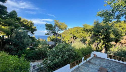 Villa Anna - Foto 3, Garden view