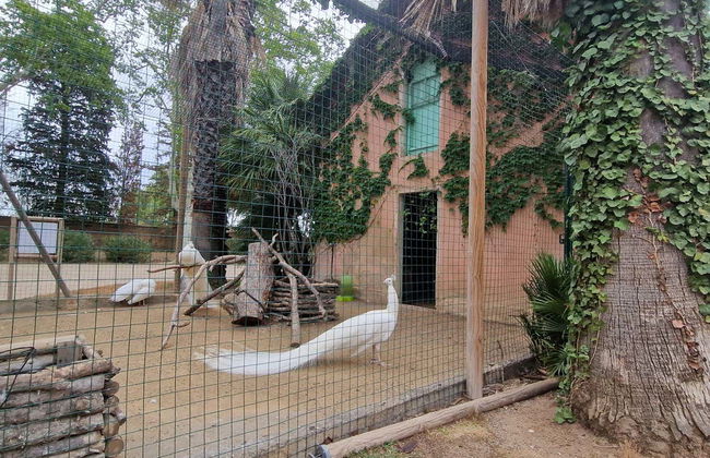 Parc Samá Self-Guided Day Trip - Photo 5