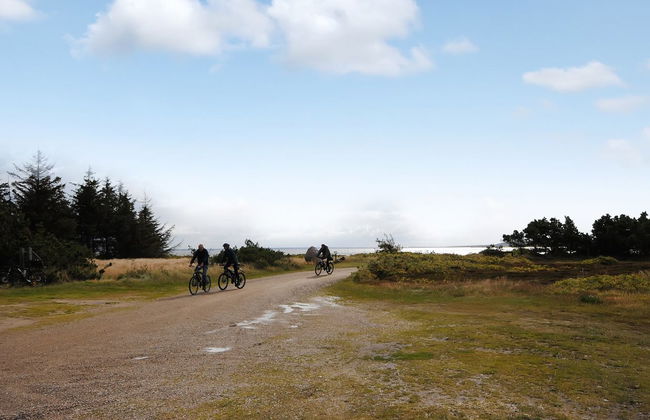 "Eljas" - 200m to the fjord - Foto 9