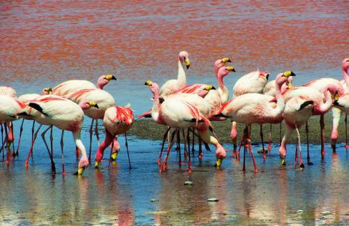 Villa Southern Comfort by CorfuEscapes - Foto 79