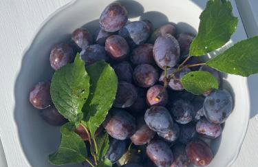 Prosinko 25 - Foto 47