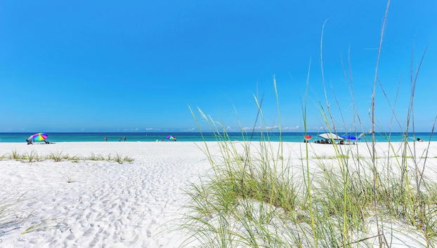 Servizio della struttura