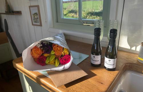 Cosy Devon Hut Woodland Views - Photo 72