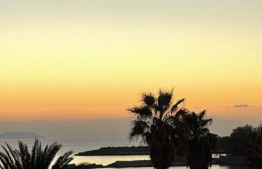 TIKI BEACH STUDIOS - Foto 11