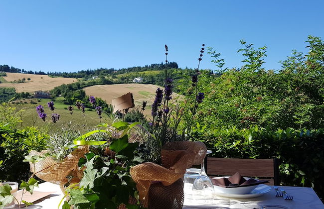 Agriturismo Ben Ti Voglio - Foto 32