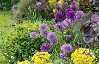 The Old Piggery - tranquil garden guest cottage - Foto 9