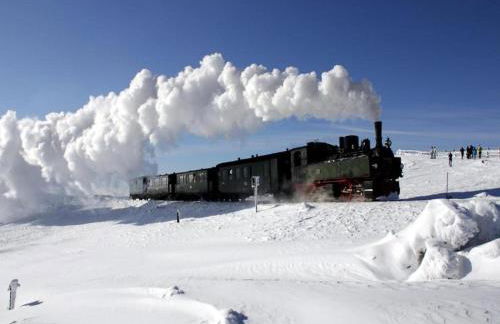 Welcoming Bungalows in Neustadt - Foto 46