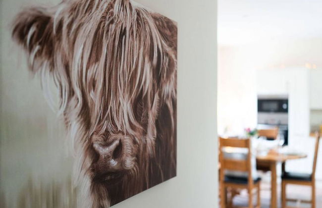 Ranch House Cottage Inverurie Aberdeenshire - Foto 9