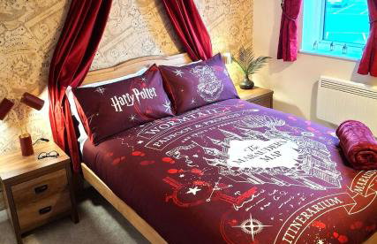 Rooms of Requirement - Photo 12