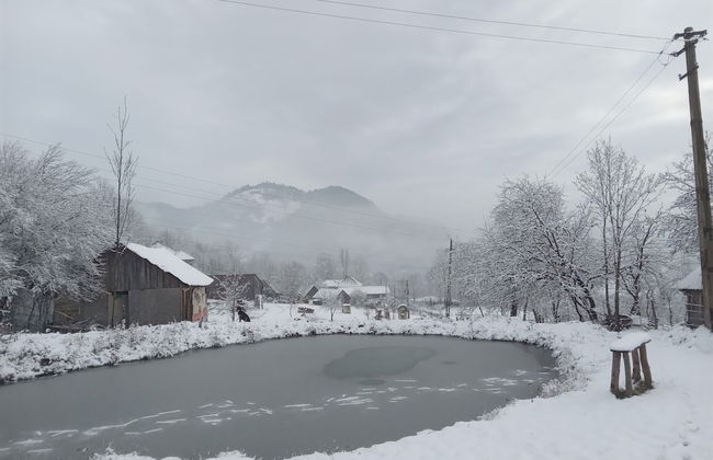 Room in Guest Room - Cozy Rural Retreat in Roşia Montana - Photo 30
