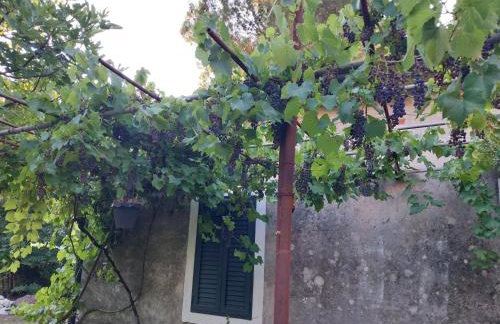 Villa Annika - Foto 40