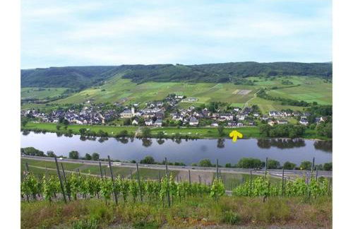 Holiday Apartment Moselle Beach 1 - Foto 47