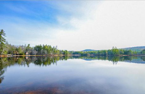 Cozy in the Woods - Foto 10