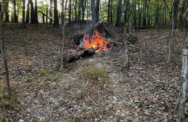 Quiet Forest Vacation home on a Private Road with Spacious Patios, Fire pit, Pet friendly and a Private pool - Foto 24