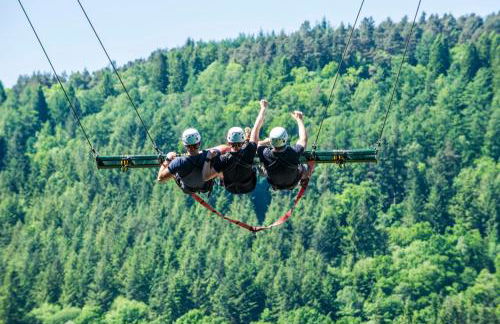 Glanrhyd cottage - Foto 53