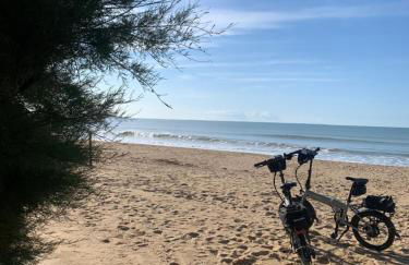 The Pigsty in Braunton - Foto 14