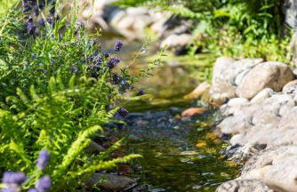 Stockser Hof - Photo 37